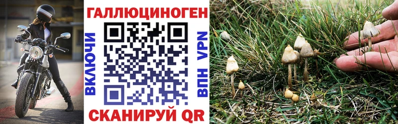 Псилоцибиновые грибы MAGIC MUSHROOMS  Миллерово 